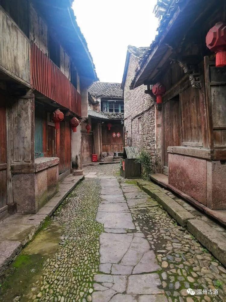 李清照的十首经典词知识星球,深度探索专业领域,汲取灵感与思考